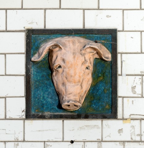 Fleisch